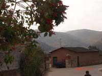 DSC09759