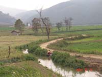DSC09767