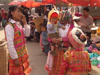 DSC09837
