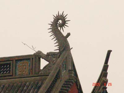 roof at wuzhen