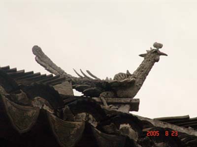 roof peacock at zhouzhuang