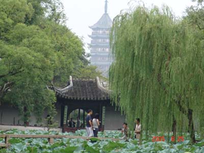suzhou gardens 6
