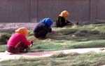 fisher women fixing nets