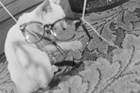 my glasses in 1969